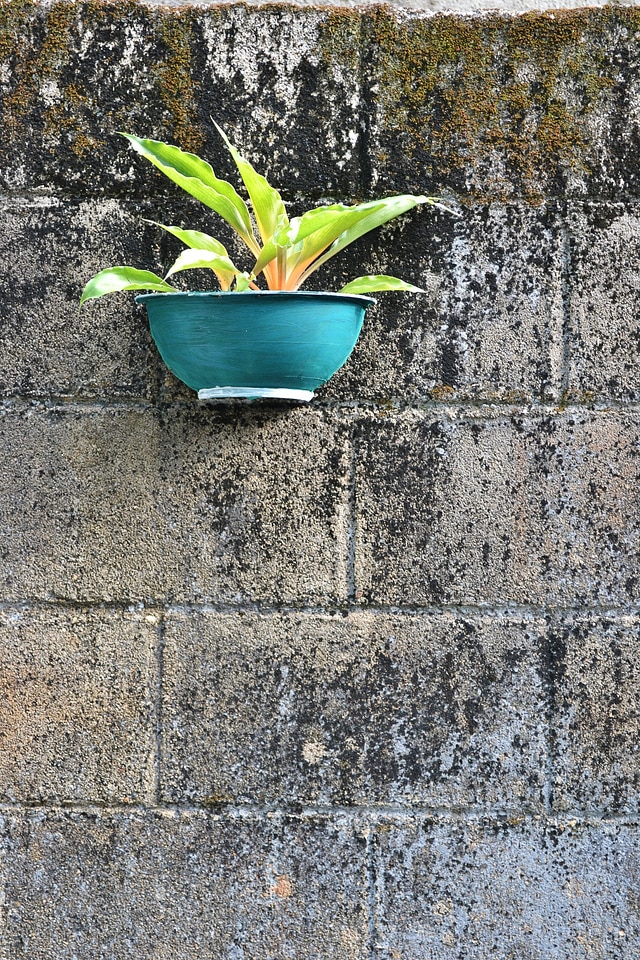 Hanging pot cement pot gardening