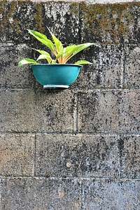Hanging pot cement pot gardening photo