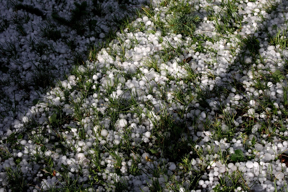 Grass ice ice crystal