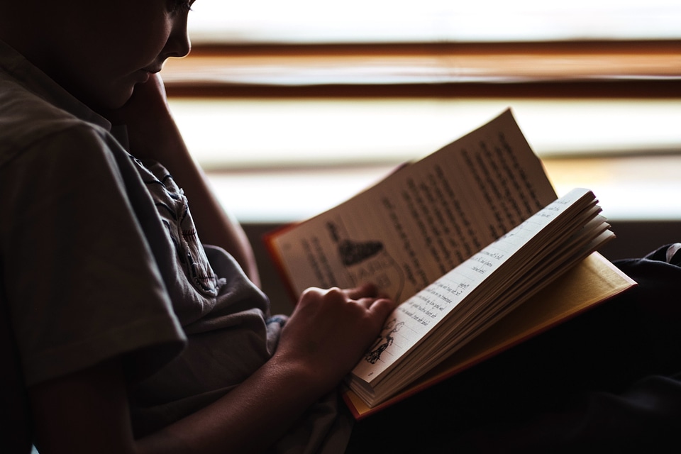 Book knowledge person