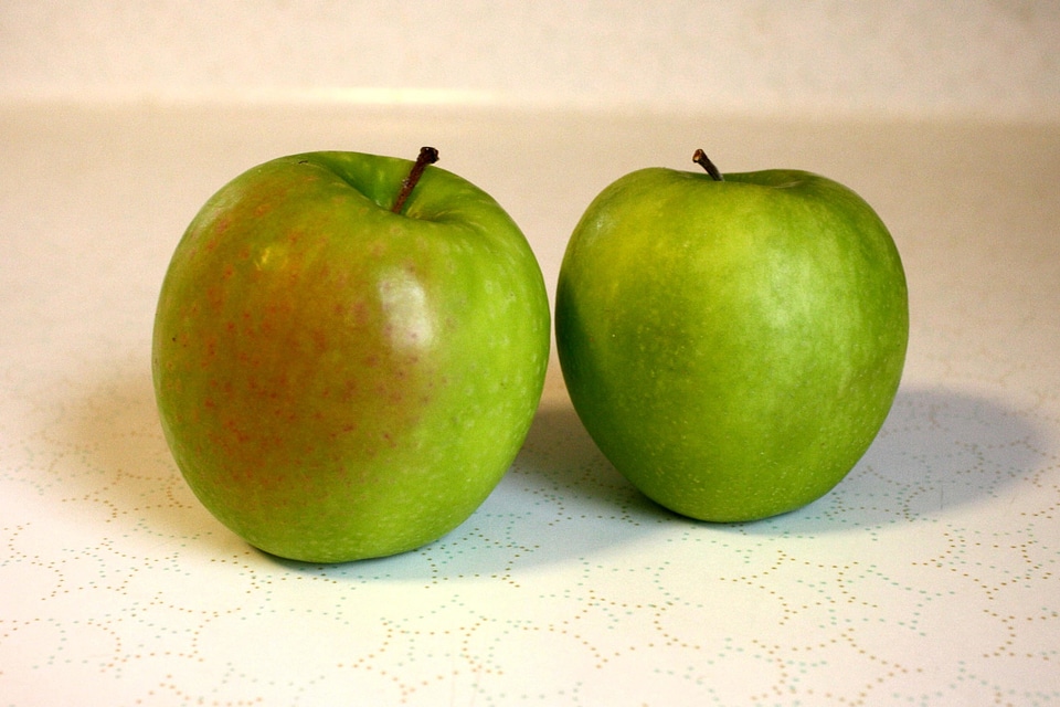 Apple evergreen fruit