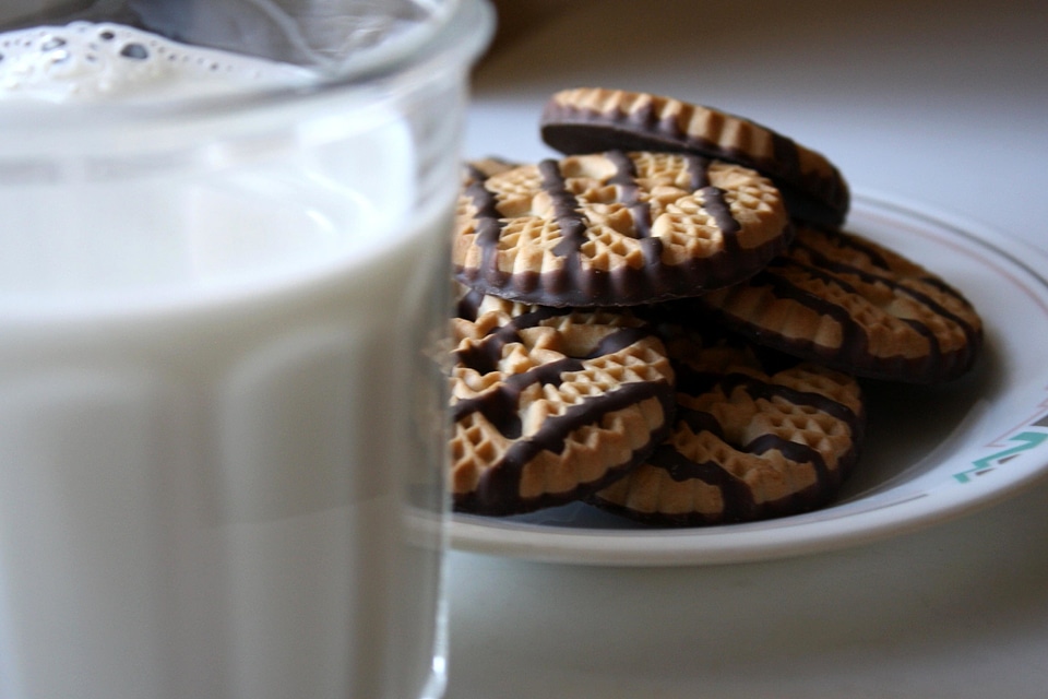 Biscuit chocolate chocolates photo