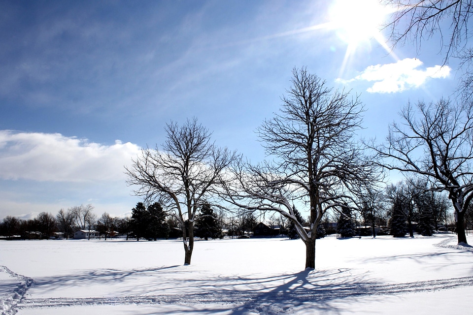 Landscape nature sunshine
