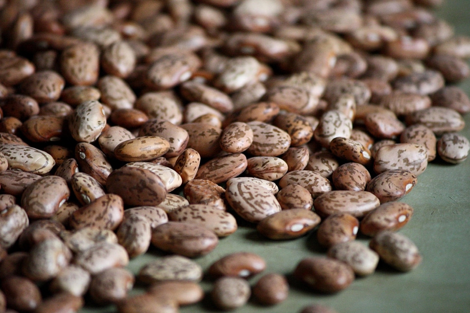 Bean beans kernel