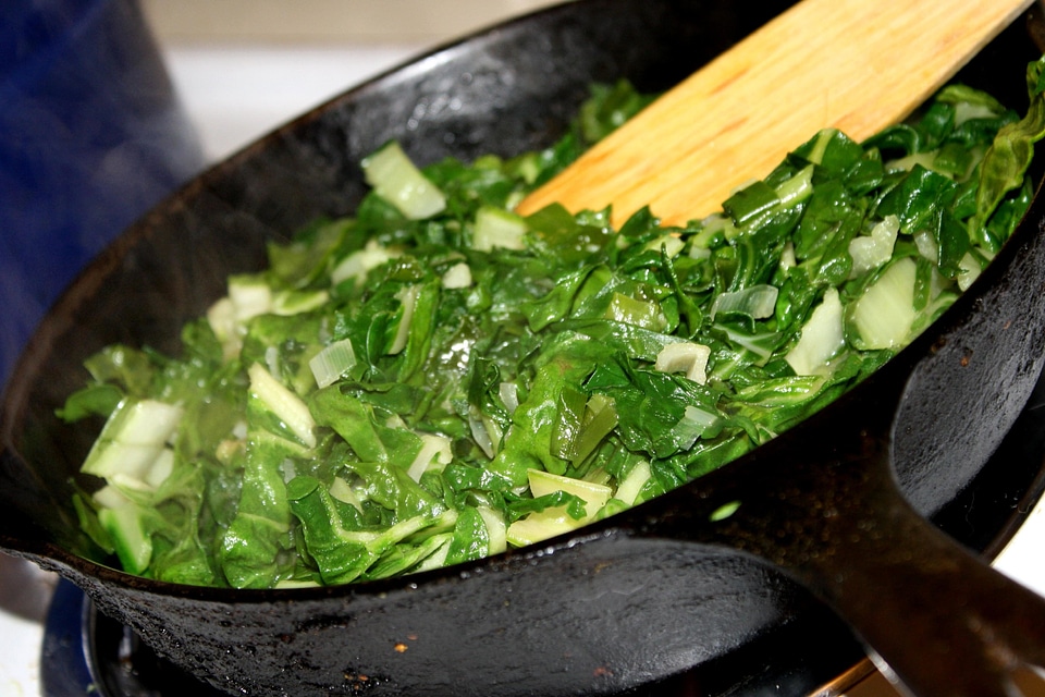 Cast Iron diet dietary