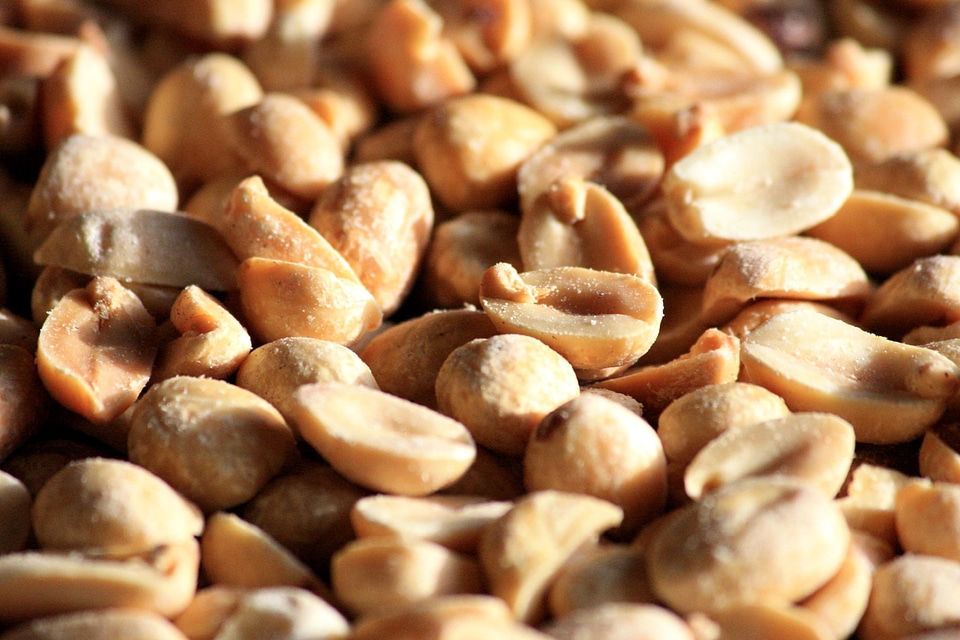Carbohydrate diet dietary