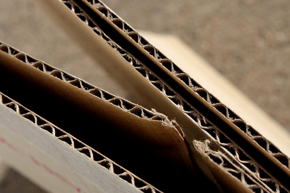 Carton details paper