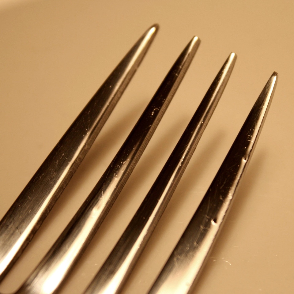Fork houseware metal