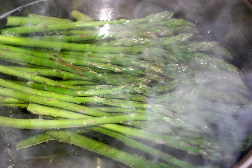 Asparagus diet fast food
