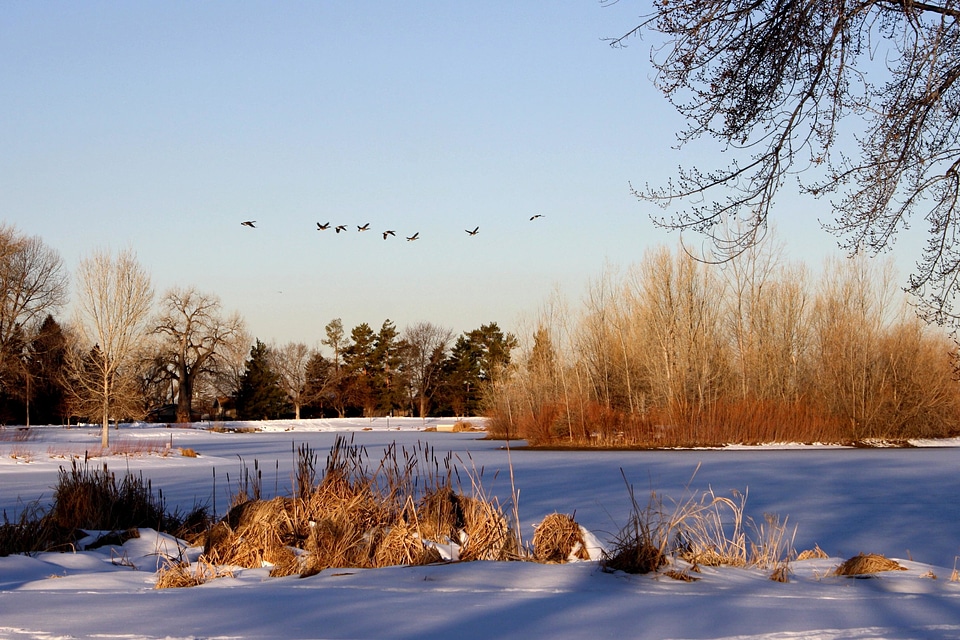 Cold dusk landscape