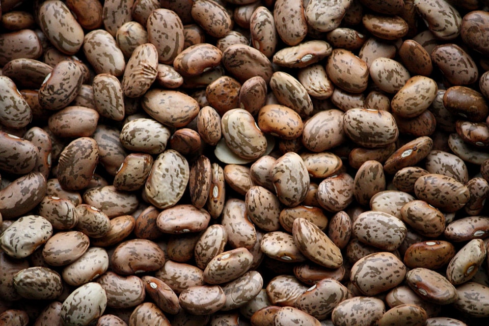Beans beautiful photo details