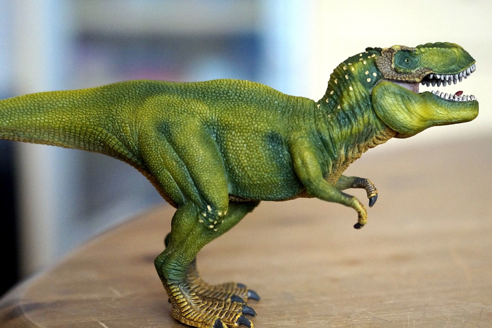 Beautiful Photo dinosaur game