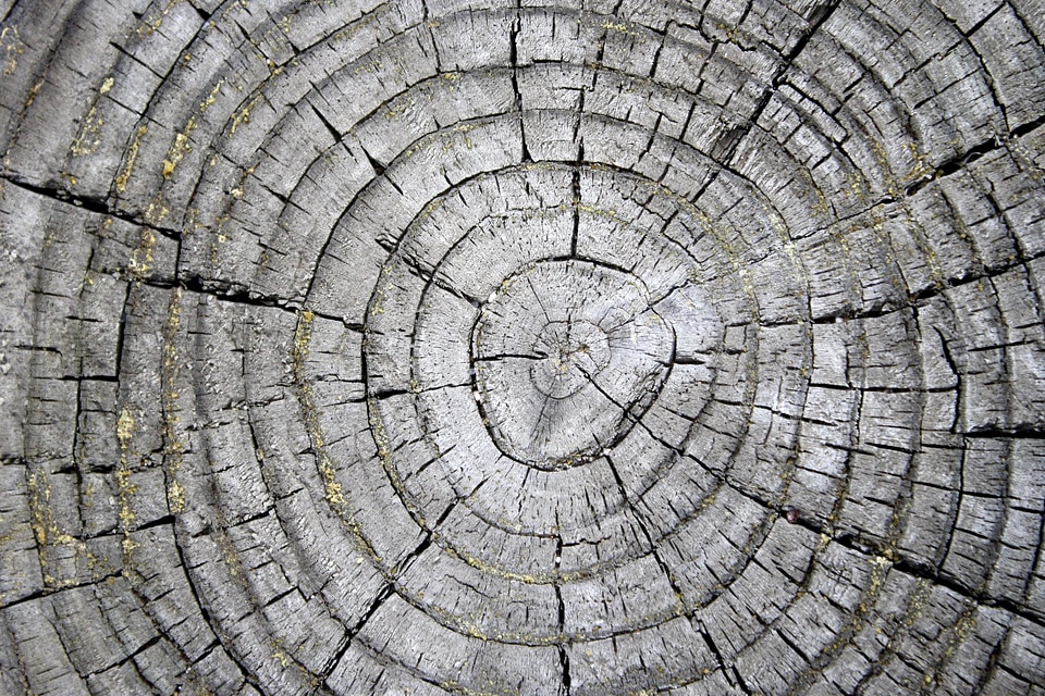 Pattern rings texture