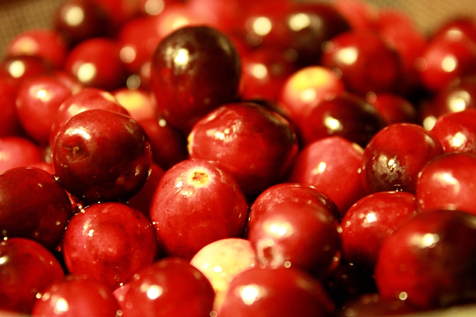 Berries diet food