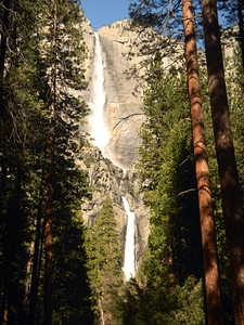 Forest landscape mountain photo