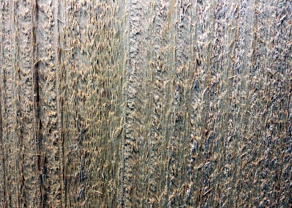 Pattern texture wood