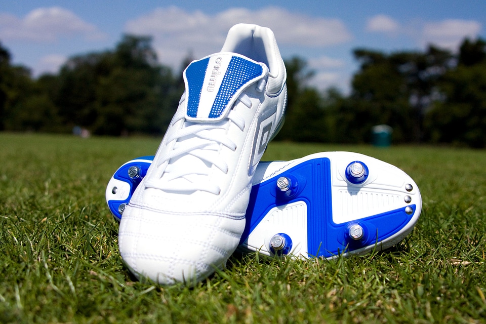 Beautiful Photo grass shoes