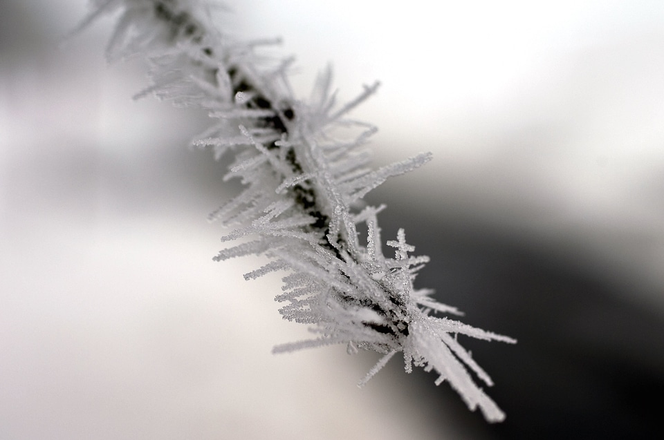 Crystal details ice