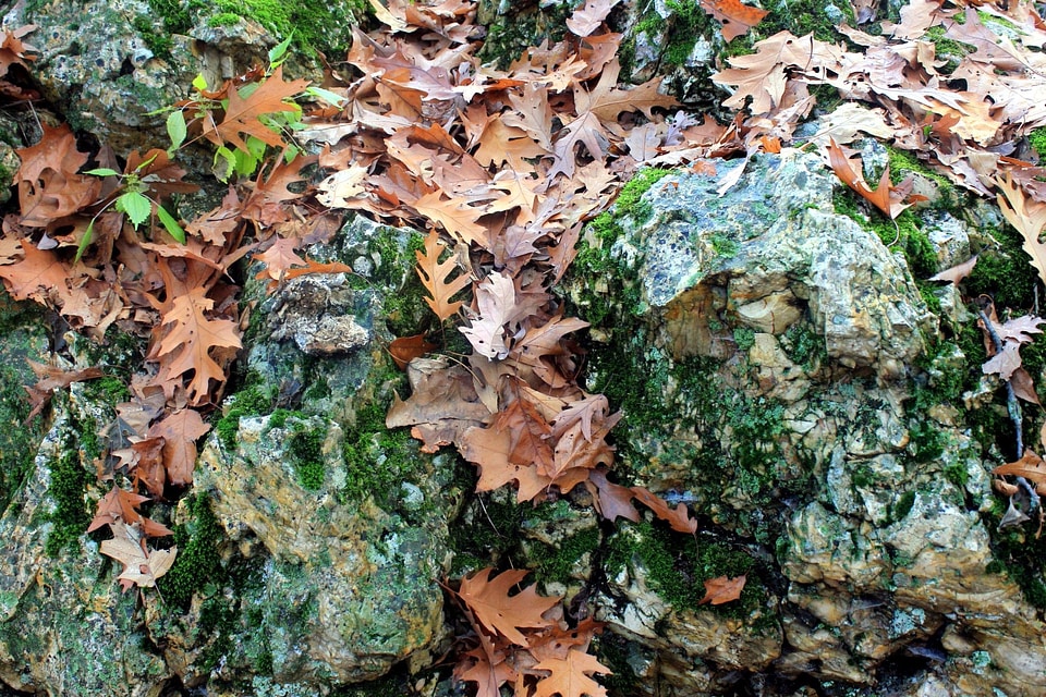Autumn autumn season big rocks