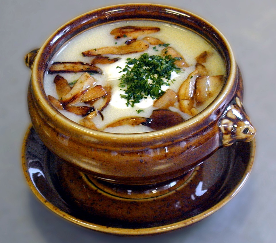 Bowl ceramic dinner
