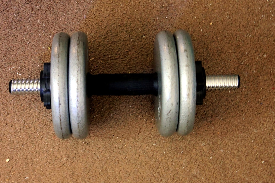 Cast Iron dumbbell iron