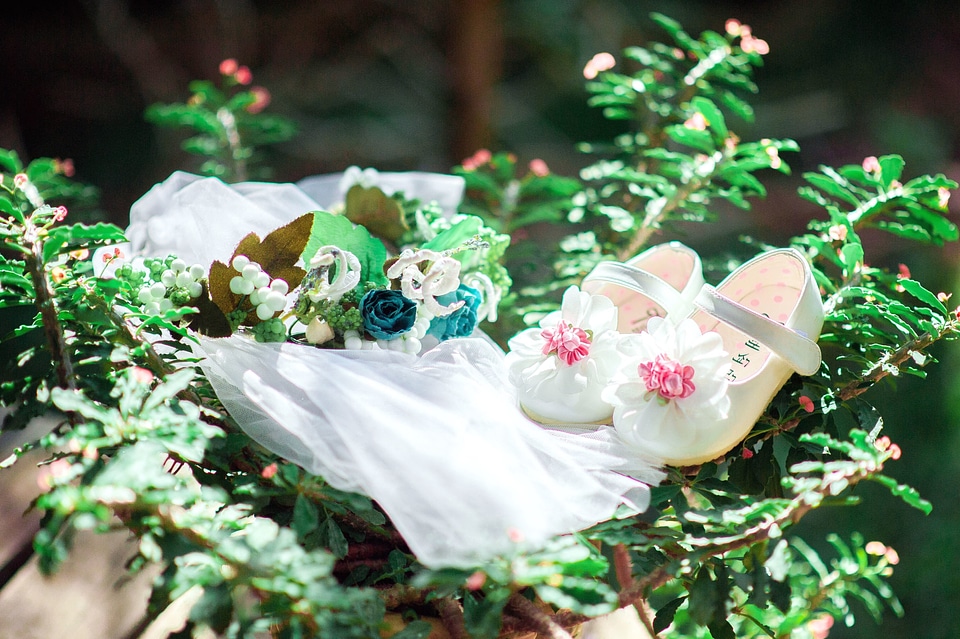 Plant sweet wedding