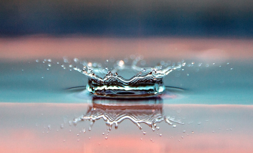 Beautiful Photo macro reflection
