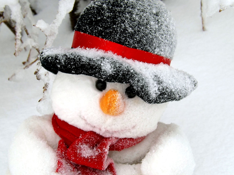 Face hat snow