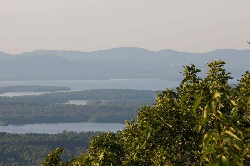 Forest national park nature