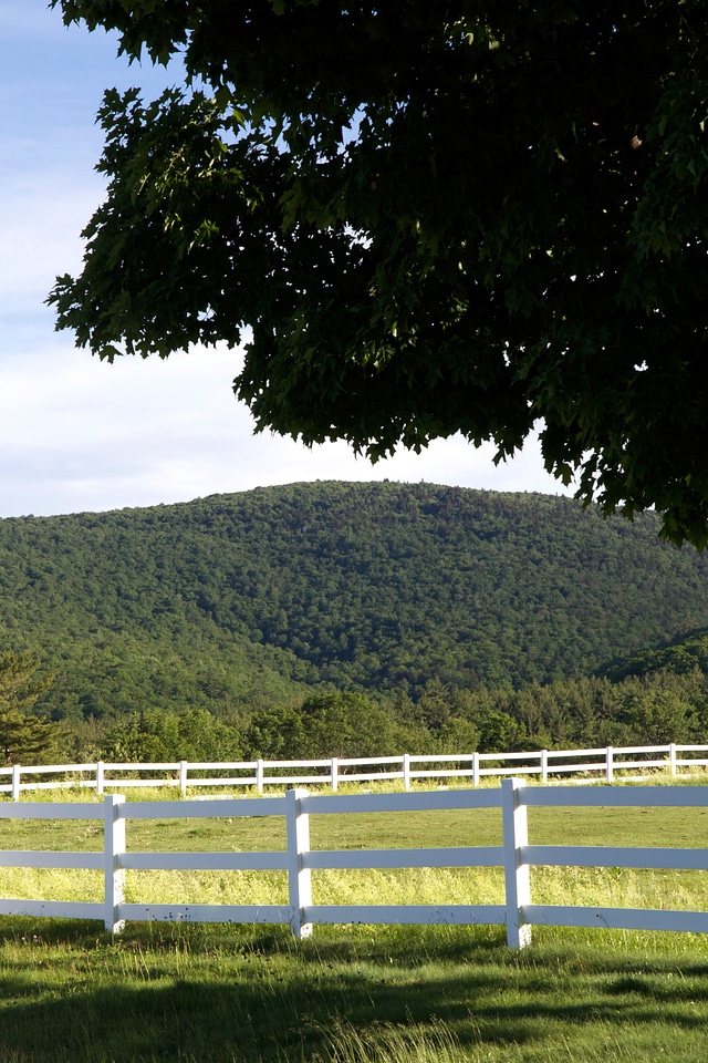 Fence mountains trees