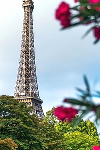 Architecture France plants