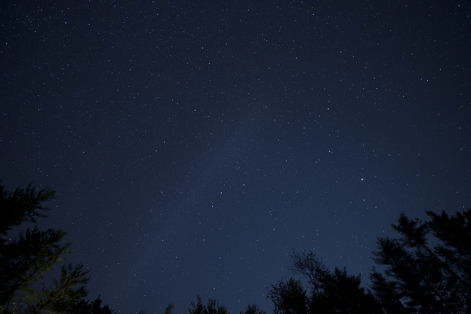 Midnight nature night
