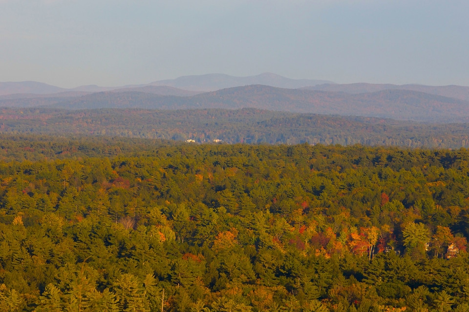 Autumn autumn season foliage photo