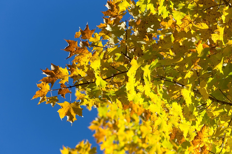 Autumn blue sky clouds
