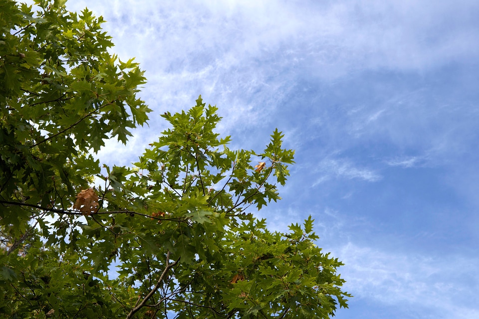 Blue Sky cloud clouds