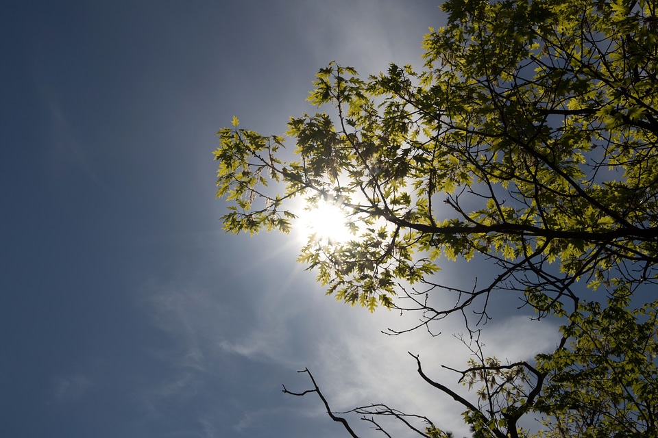 Clouds floor leaves