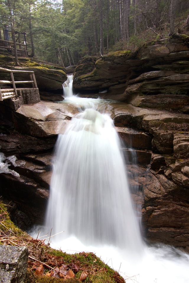 Cascade forest river