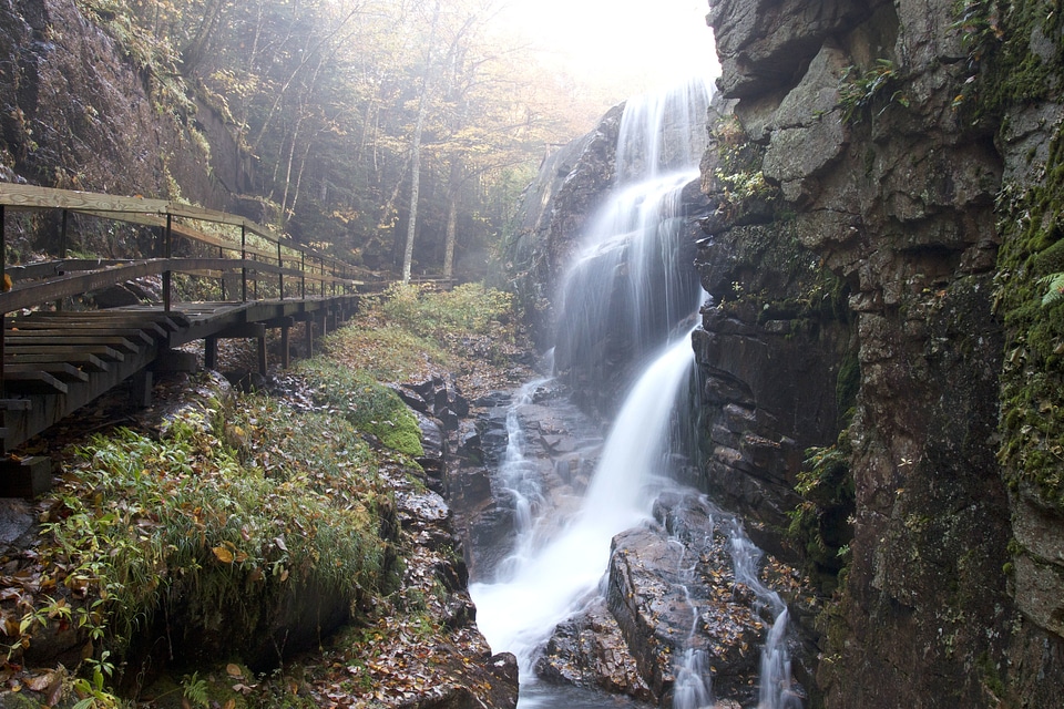 Creek hiking landscape