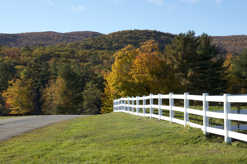 Countryside farmland foliage