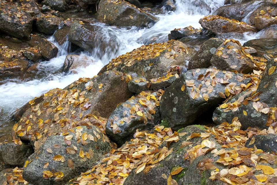 Beautiful Photo creek fall