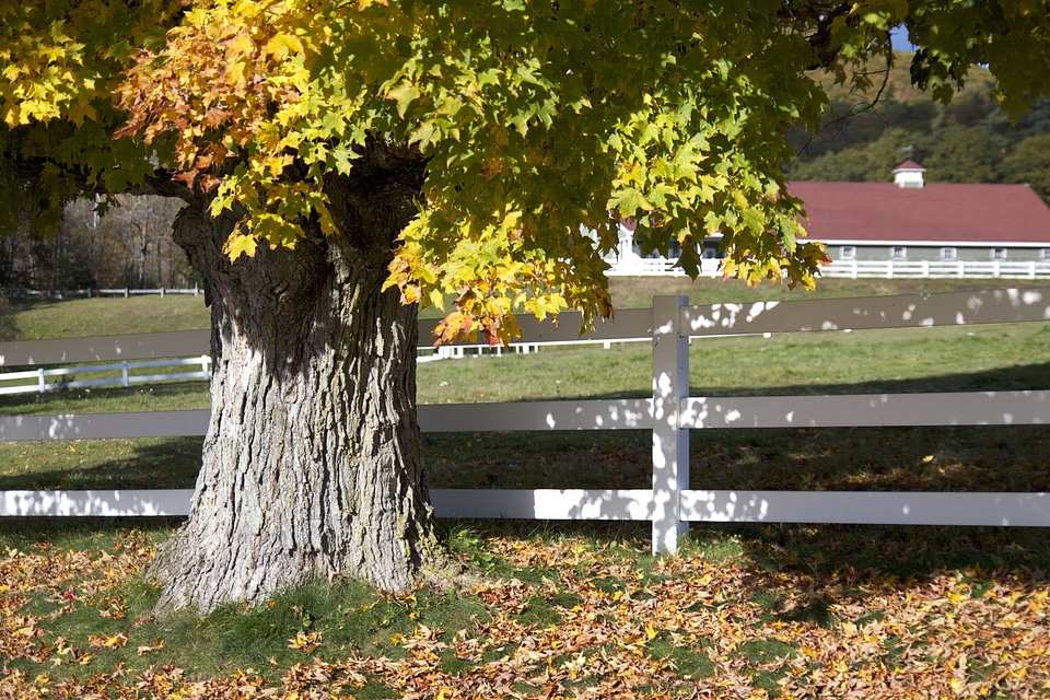 Autumn barn countryside