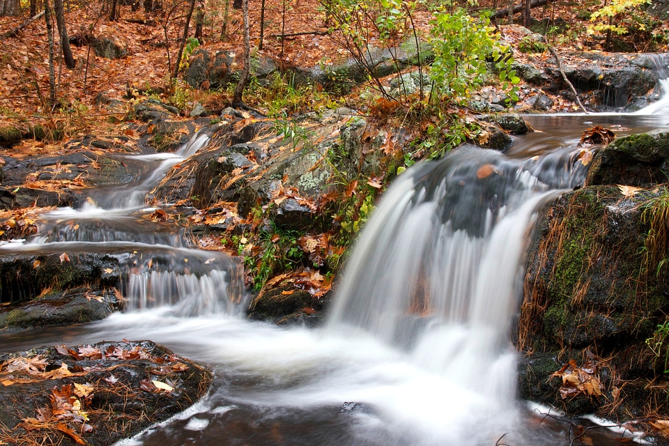 Autumn Season beautiful photo foliage photo