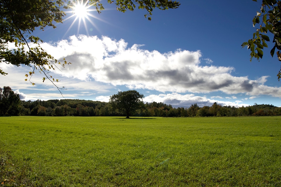 Agriculture clouds field