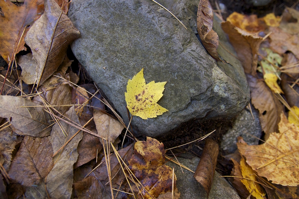 Autumn autumn season big rocks
