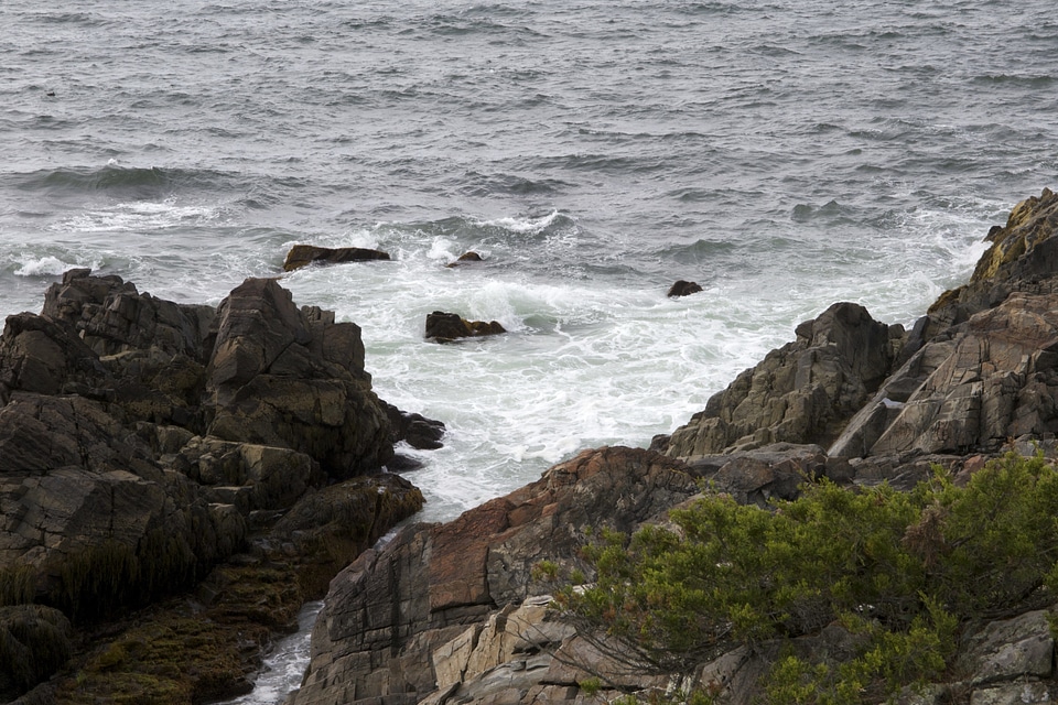 Coast ocean rocks photo