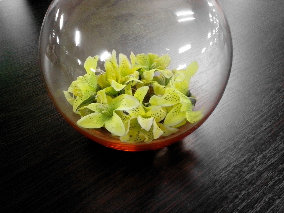 Bowl conception decoration