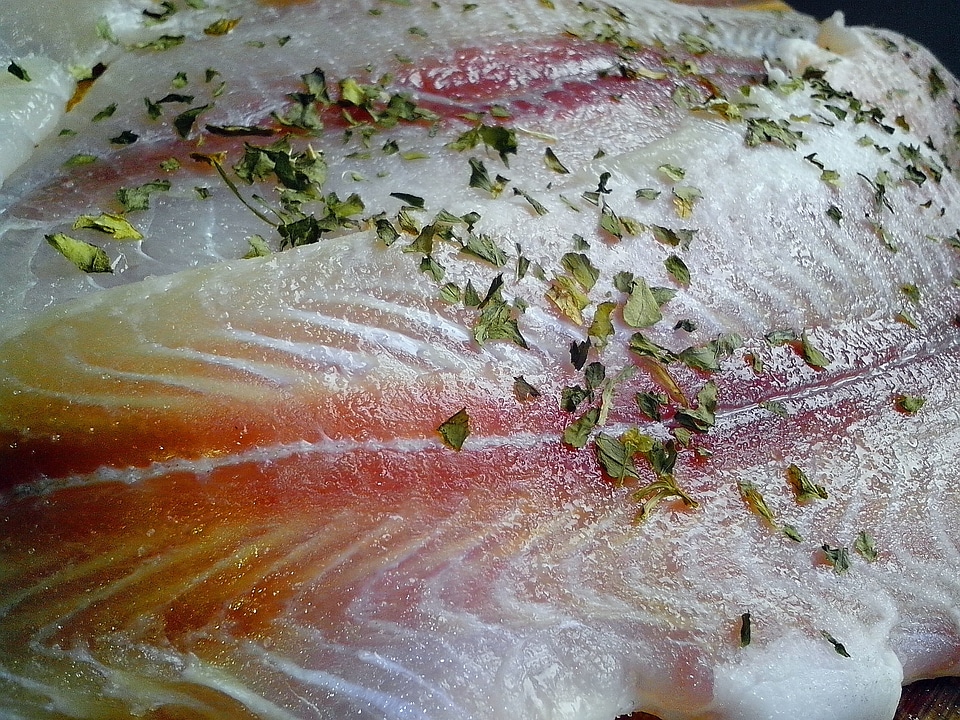 Beautiful Photo catfish cooking