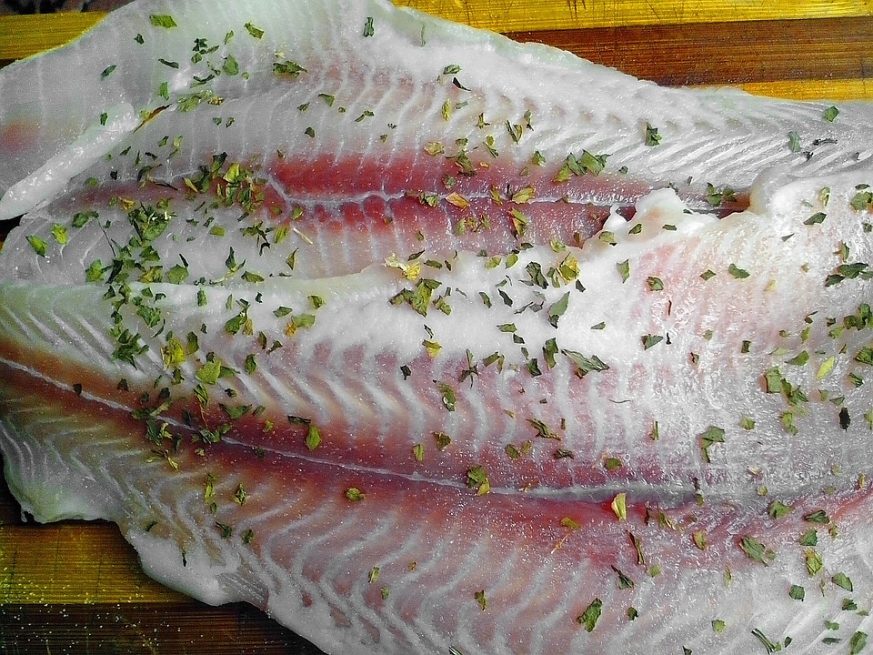 Beautiful Photo fillet food