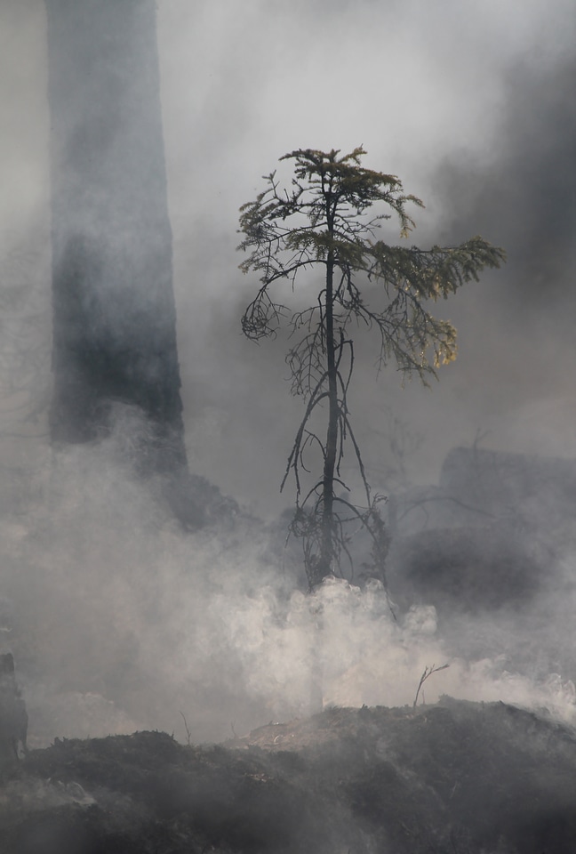 Fire burning smoke