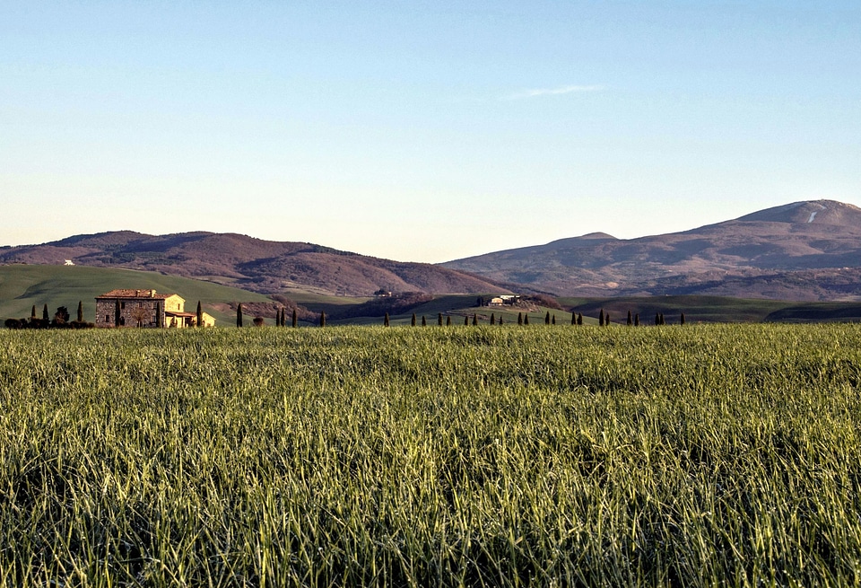 Agriculture crop fence